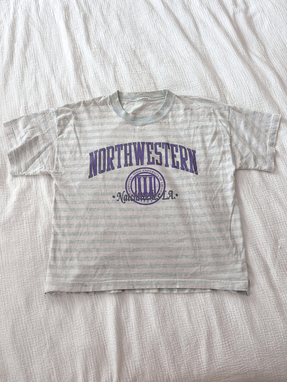 Northwestern Vintage Tee fits like large