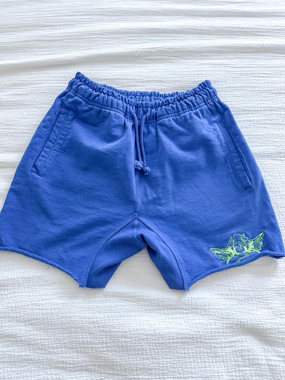 Boys Lie Shorts Sz small